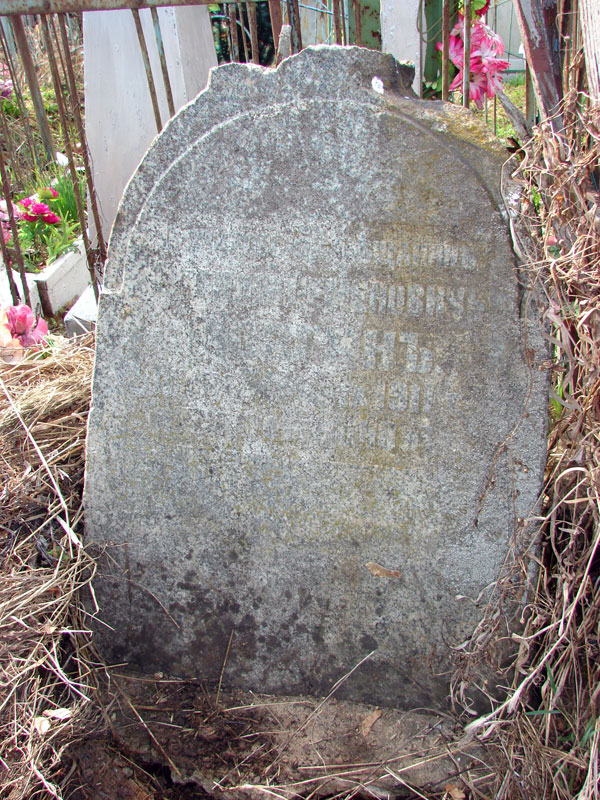 Мозгин Василий Семенович Мозгин Василий Семенович