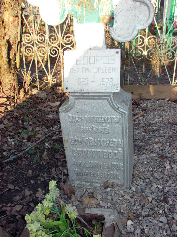 Сургучева София Васильевна Сургучева София Васильевна