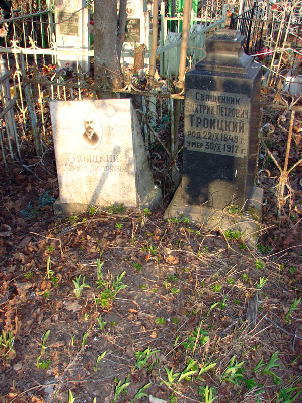 Троицкий Дмитрий Петрович Троицкий Дмитрий Петрович