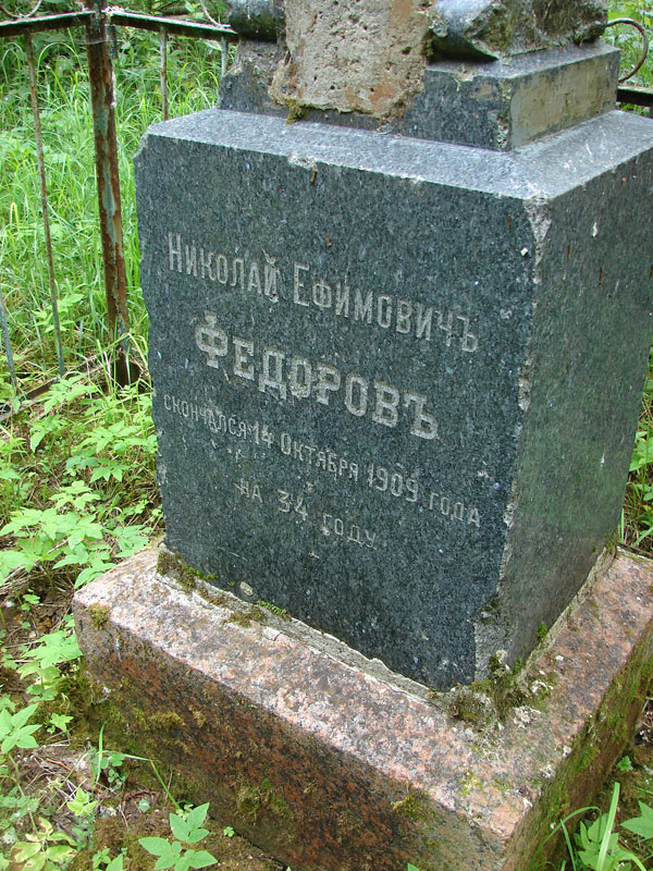 Николай Ефимович Федоров Николай Ефимович Федоров