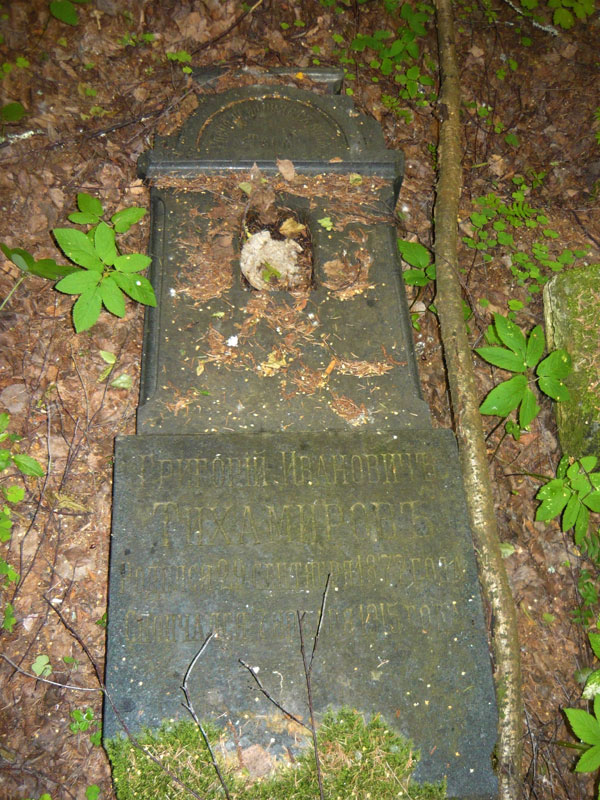 Тихамиров Григорий Иванович Тихамиров Григорий Иванович