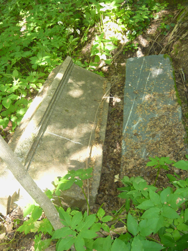 Свистуновская Ульяна Федоровна Свистуновская Ульяна Федоровна