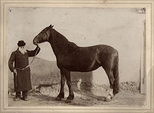 Смирнов П.И. с лошадью